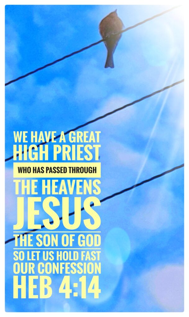 Jesus our High Priest