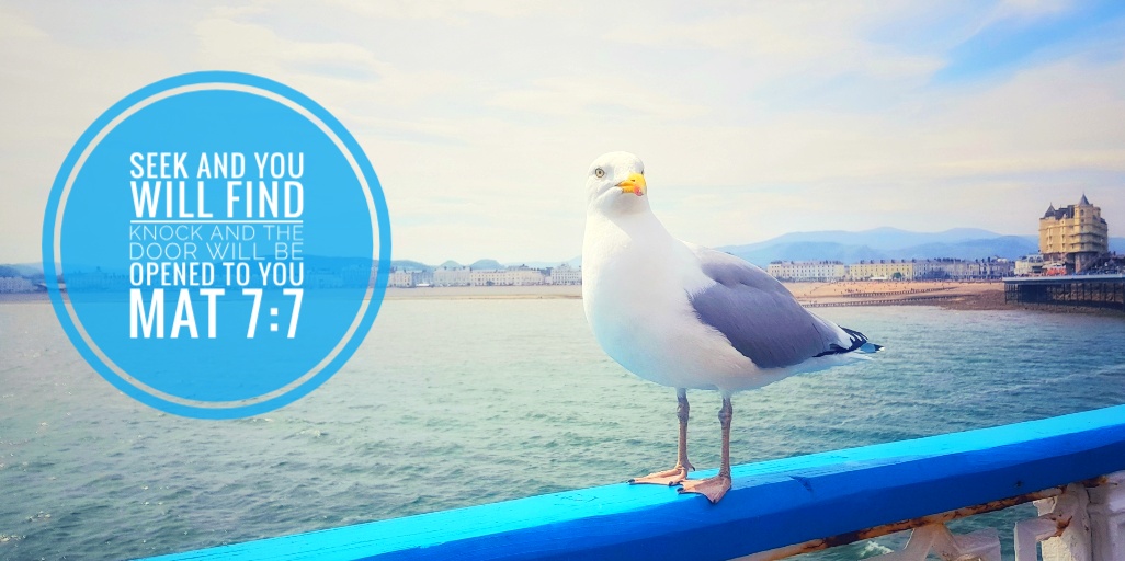Llandudno Pier - Seek and you will find